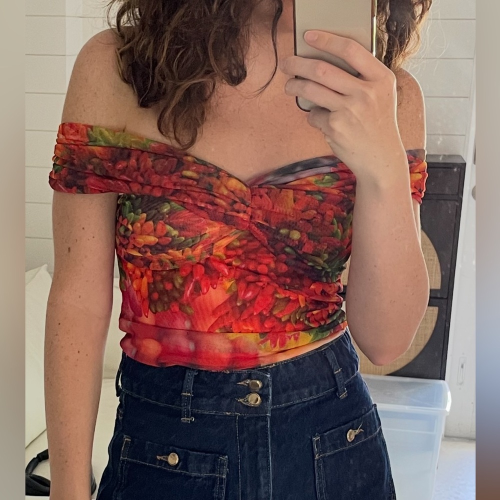 Zara Multicolor Off-Shoulder Top farm tomato mesh print M